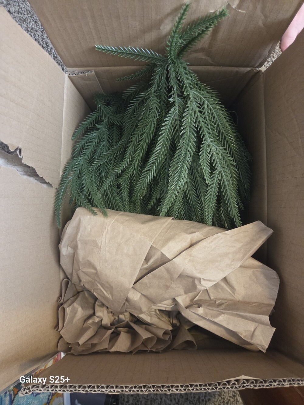Tabletop Norfolk Pine Christmas Tree 3FT Green Mini - Picture 3 of 3